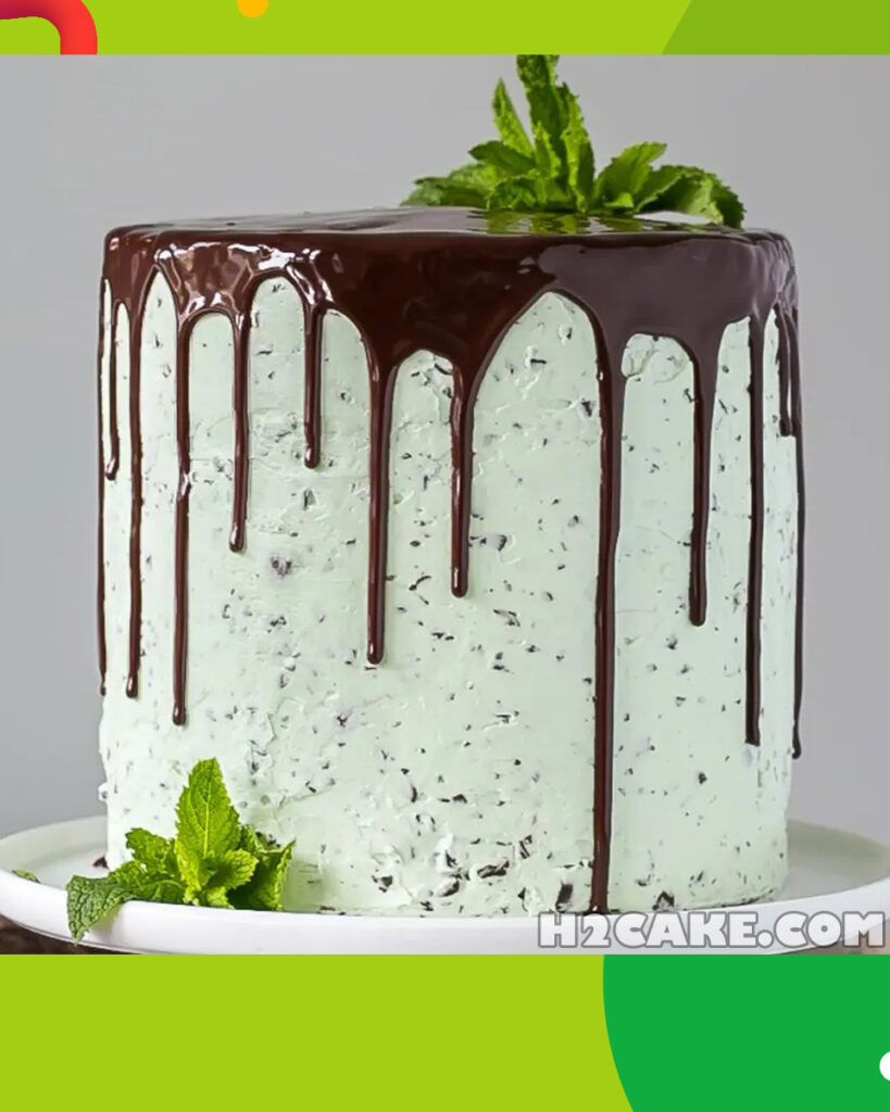 Chocolate-Mint-Cake-1