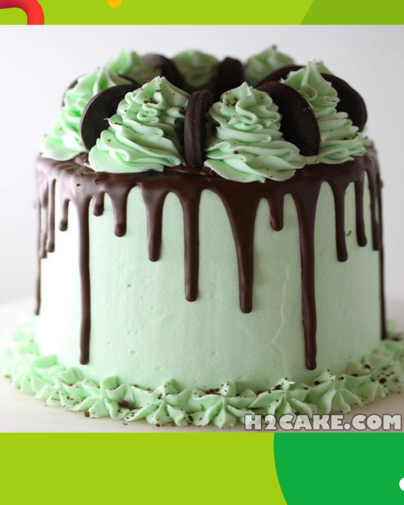 Chocolate-Mint-Cake-3