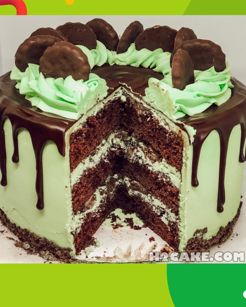 Chocolate-Mint-Cake-6